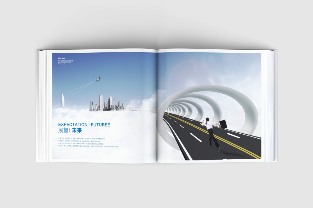 左贡县画册设计